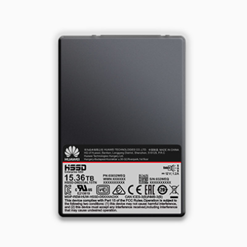 ES3000 V5 SAS SSD盘